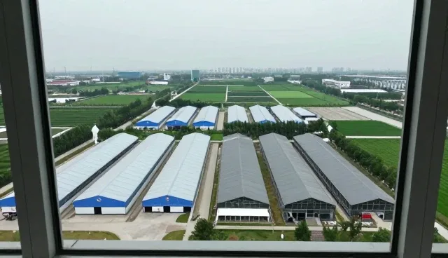 来图定制驱动行业转型，批发供货模式迎来新机遇